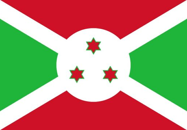 Section  Bâtiment et travaux Publics a la Chambre de Commerce et d`industrie (BURUNDI)